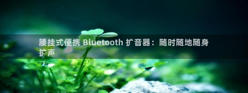 ZL尊龙凯时平台：腰挂式便携 Bluetooth 扩音器：随时随地随身
扩声