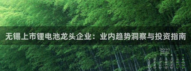 尊龙凯时赢不了：无锡上市锂电池龙头企业：业内趋势洞察与投资指南