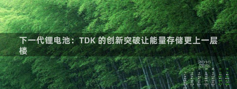 尊龙Ag：下一代锂电池：TDK 的创新突破让能量存储更上一层
楼