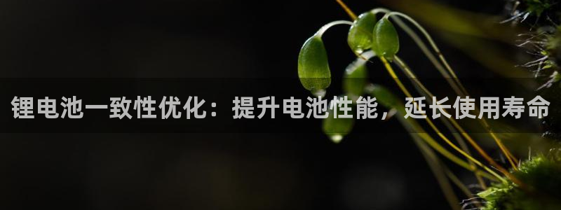 ag旗舰平台尊龙代言：锂电池一致性优化：提升电池性能，延长使用寿命