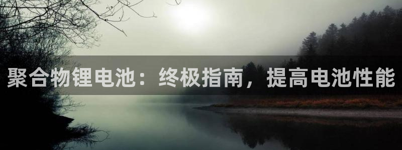 尊龙官网APP下载：聚合物锂电池：终极指南，提高电池性能