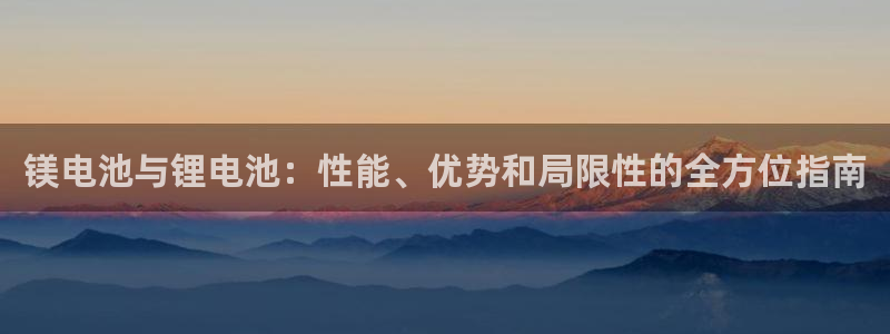 尊龙凯时平台有没有不到账的：镁电池与锂电池：性能、优势和局限性的全方位指南