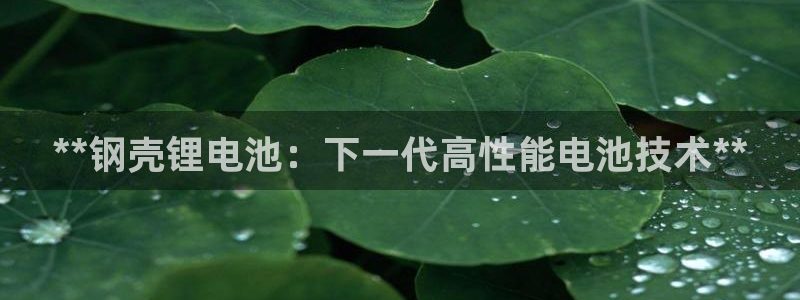 尊龙人生就是博首页：**钢壳锂电池：下一代高性能电池技术**